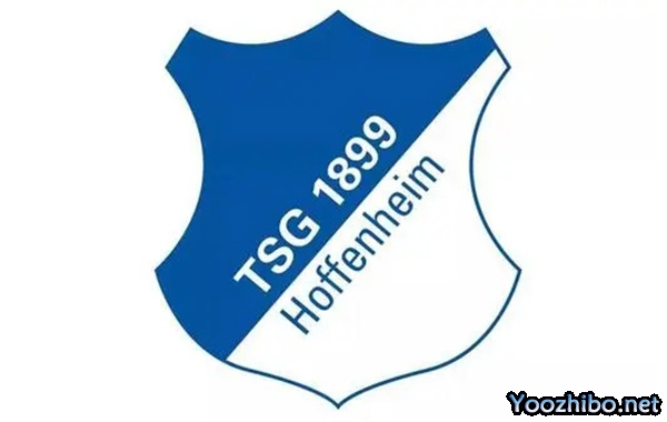 霍芬海姆2023-24赛季十大进球精彩回顾